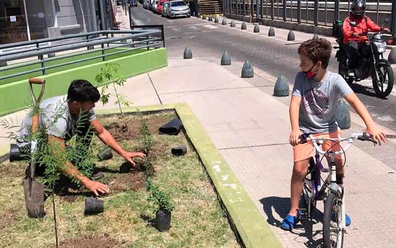 Nuevas plantaciones en la Comuna 11