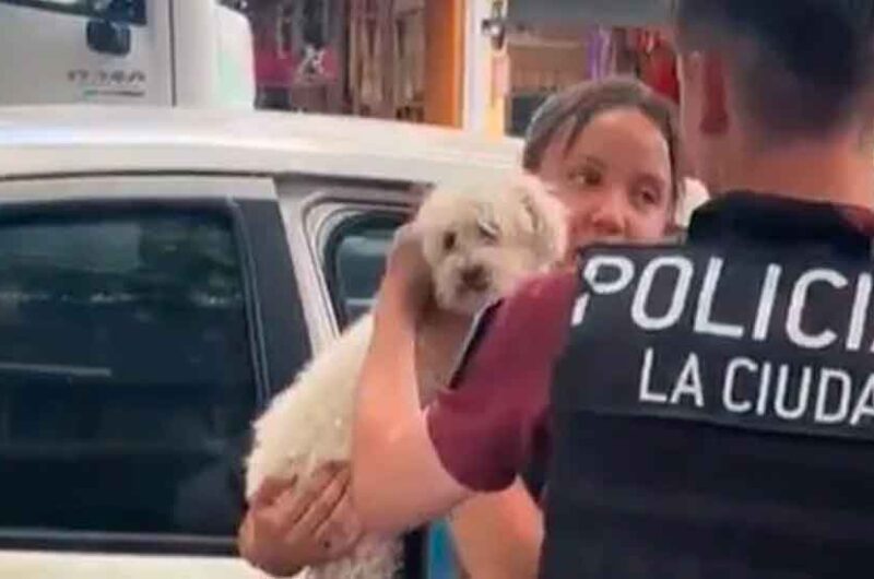 La policía rescato un perro encerrado en un auto